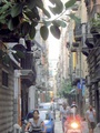 p9110003.jpg