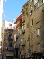 p9150008.jpg