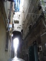 p9150073.jpg