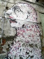 p9150081.jpg