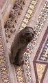 pict0044.jpg