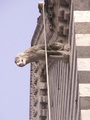 pict0148.jpg