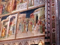 pict0160.jpg