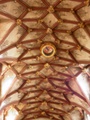 p4110411.jpg