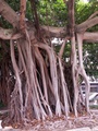 pict0057.jpg