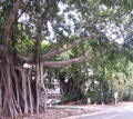 pict0058.jpg