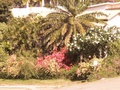 pict0065.jpg