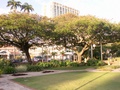 pict0079.jpg