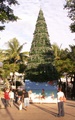 pict0080.jpg