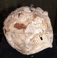 pict0014.jpg