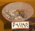 pict0055.jpg