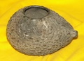 pict0093.jpg