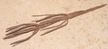mandaras_iron_ritual_staff_1.jpg