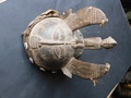 dscn4289.jpg