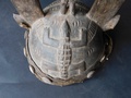 dscn4290.jpg