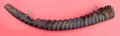 s_ghana_transverse_horn_3.jpg
