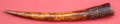 ivory_horn_5.jpg