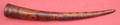 ivory_horn_6.jpg