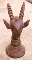 nigeria_antelope_head.jpg