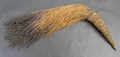 dani_buttock_ornament_ii.jpg