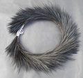 dani_cassowary_crown.jpg