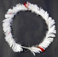 dani_feather_crown.jpg