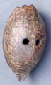 coconut_ocarina.jpg