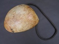 shell_ornament_1.jpg