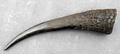 naga_ear_ornament_3.jpg