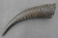naga_ear_ornament_4.jpg