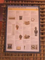 pict0219.jpg
