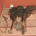 pict0237.jpg