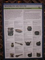 pict0256.jpg