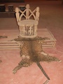 pict0261.jpg
