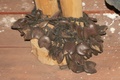 pict0282.jpg
