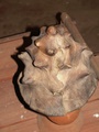pict0287.jpg