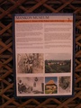 pict0290.jpg