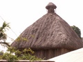 pict0297.jpg