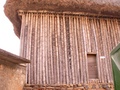 pict0303.jpg