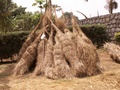 pict0310.jpg