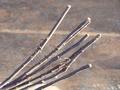 dscf0777.jpg