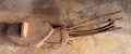 dscf0779.jpg