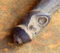 dscf0786.jpg
