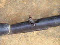 dscf0808.jpg