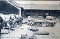 dscn5627.jpg