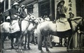 dscn5633.jpg