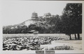 dscn5679.jpg