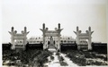 dscn5683.jpg