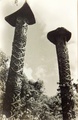 dscn5192.jpg