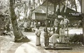 dscn5163.jpg